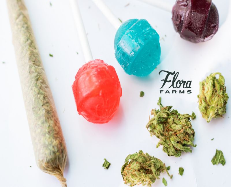 Elevated Experience: Exploring the Best THC Edibles for Every Occasion